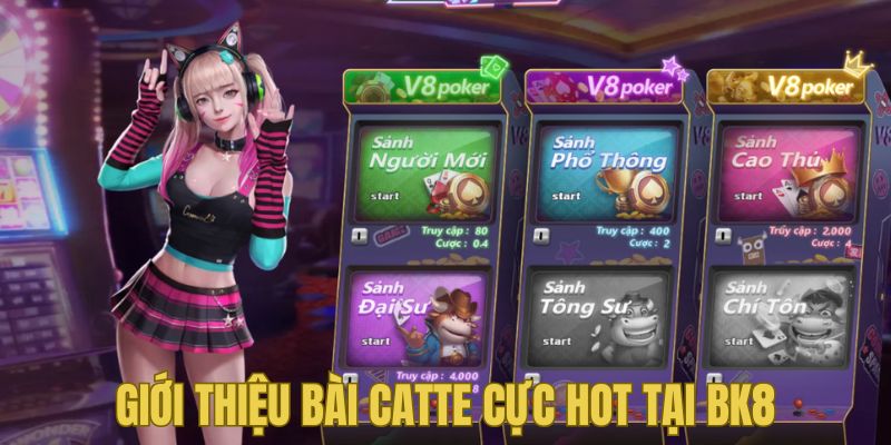 Bài Catte BK8 với cách chơi thú vị, hấp dẫn